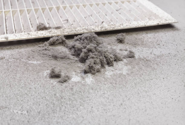 Best Home Air Vent Cleaning  in Kinsey, AL