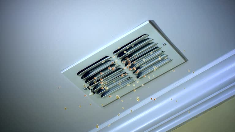 Best Ventilation Cleaning Services  in Kinsey, AL